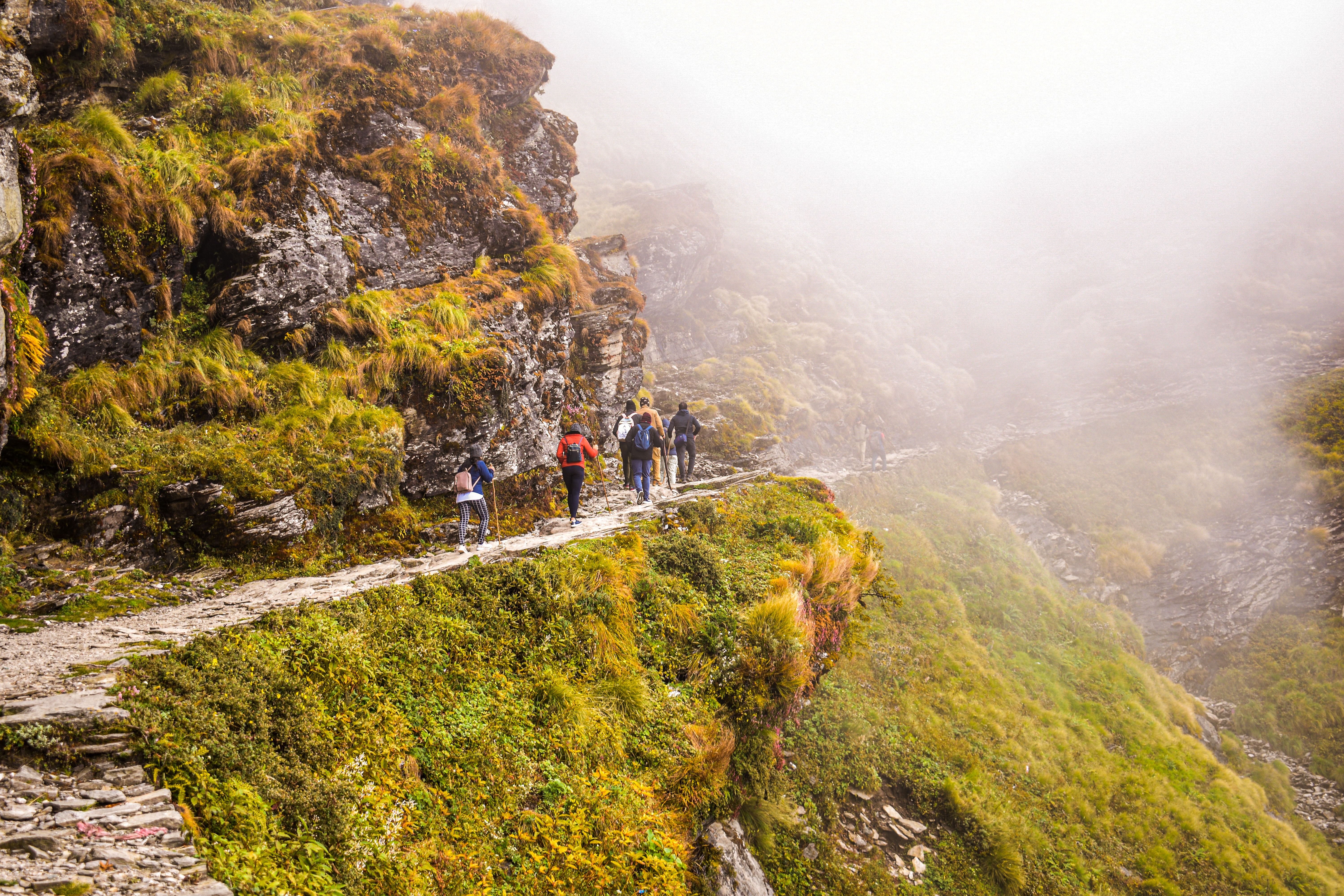 Himalayan trekking